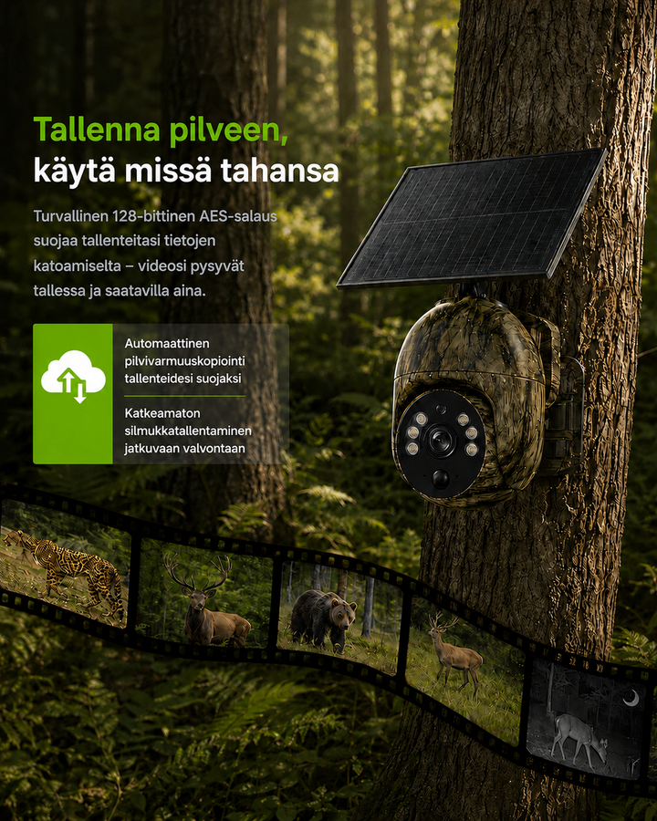Kamera med solpanel på et træ i skoven, og en filmstribe med optagelser af vilde dyr, blandt andet hjort og bjørn. 8