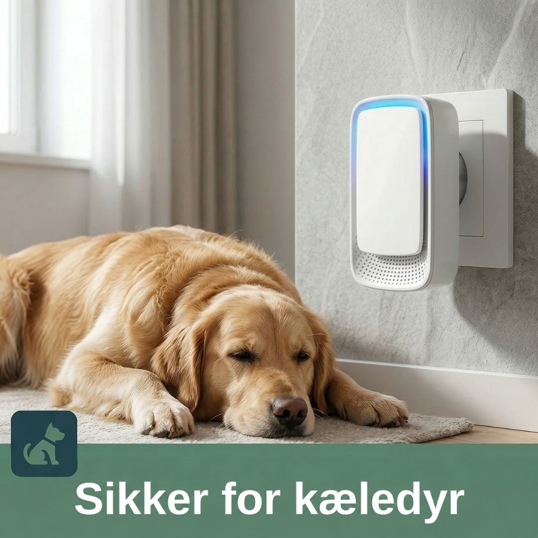 Luftionisator i stikkontakten på væggen, mens en gylden hund hviler på tæppet ved siden af 2