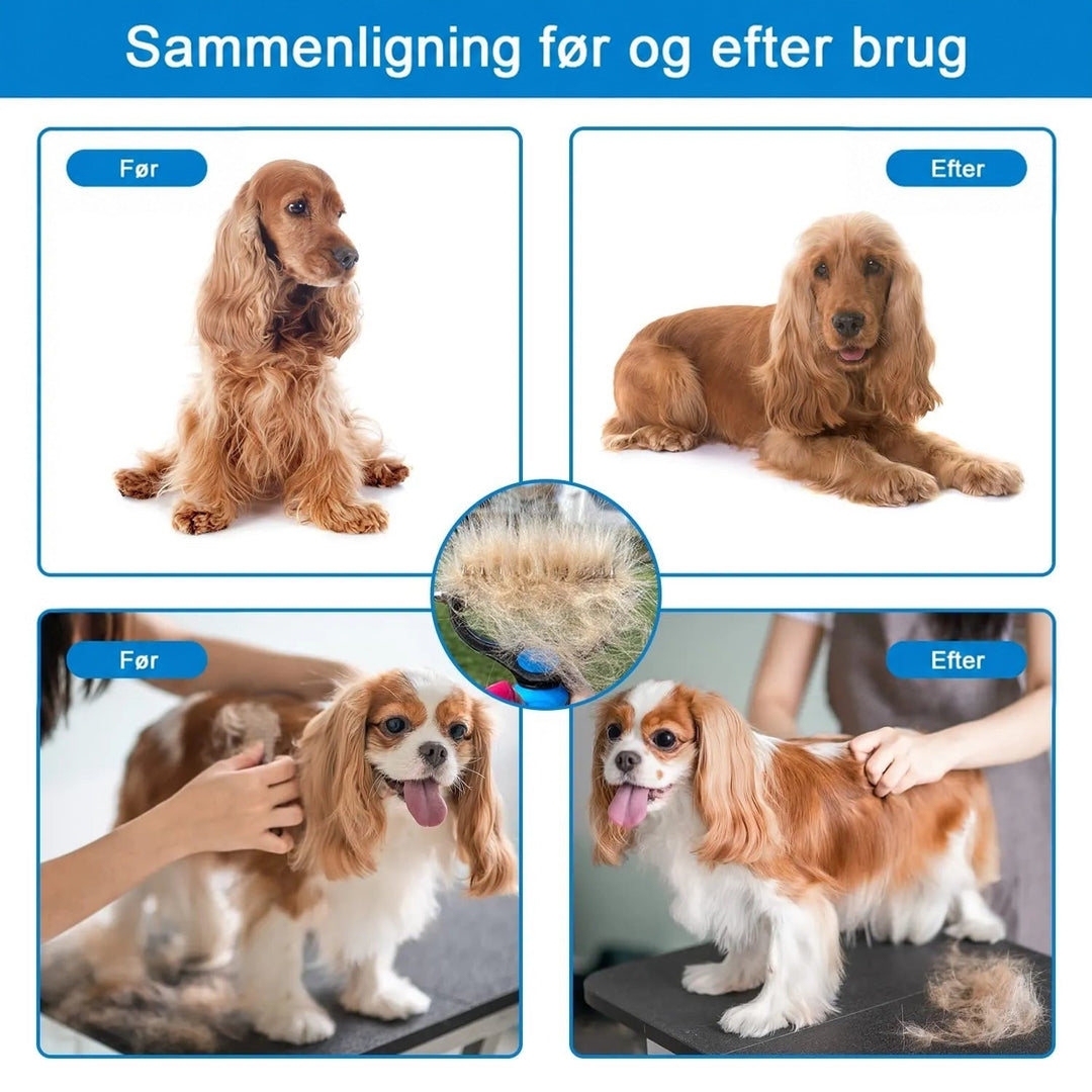 Før og efter-billeder af en cockerspaniel og en cavalier king charles spaniel, med en rive fuld af løse hår i midten. 6