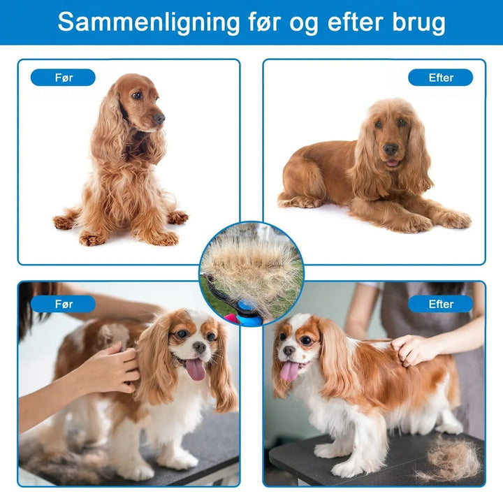 Før og efter-billeder af en cockerspaniel og en cavalier king charles spaniel, med en rive fuld af løse hår i midten. 6