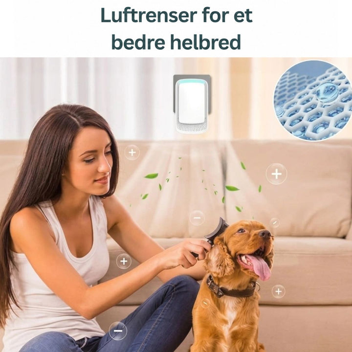 Kvinde børster en hund i sofaen under luftionisatoren, mens små blade og plustegn svæver i luften 10