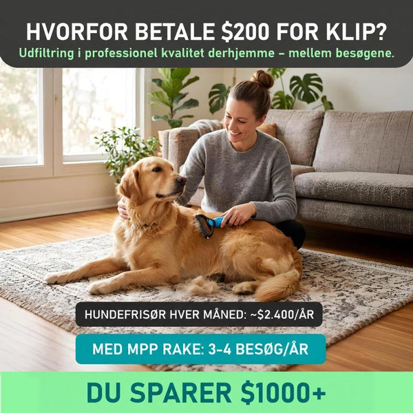 Kvinde sidder på et stuegulv og rækker en golden retriever med den blå rive, så løse hår samler sig på tæppet. 2