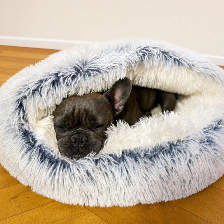 En mørk fransk bulldog sover trygt krøllet sammen under den foldede hætte i plysleen med hvid og blågrå pels. 2