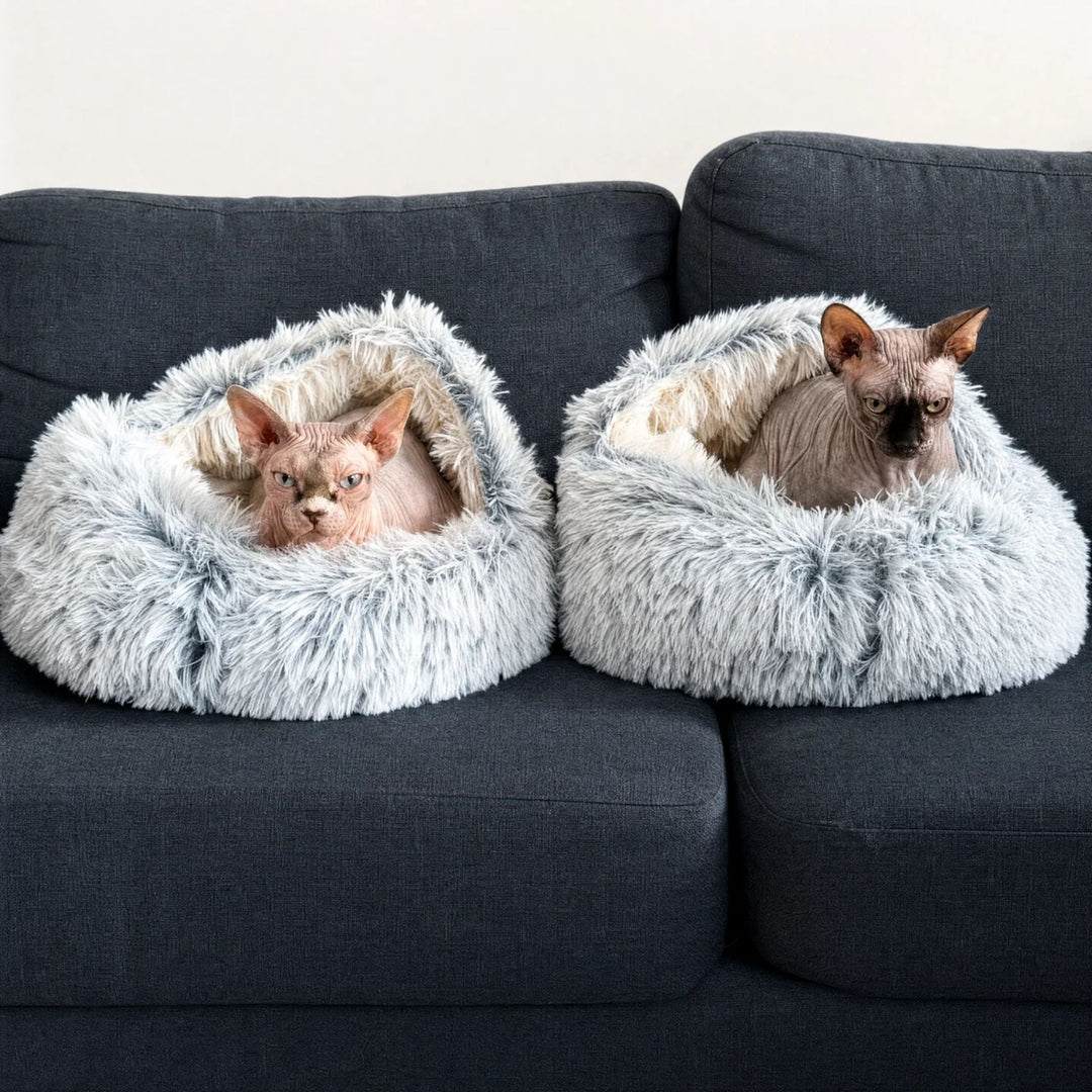 To nøgne katte ligger i hver sin grå og hvide plyshule side om side på en mørk sofa. 8