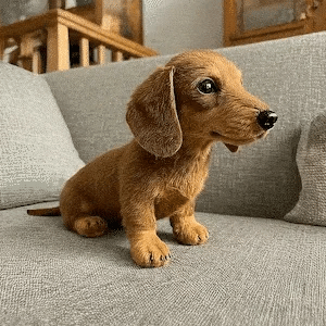 Siddende brun plysgravhund med hængende ører og sort næse, placeret på en grå sofa i en stue. 3