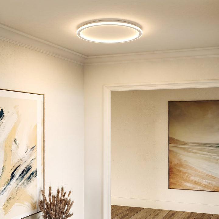 Rund loftslampe tændt i en gang med stuk, malerier på væggene og tørrede strå i forgrunden. 3