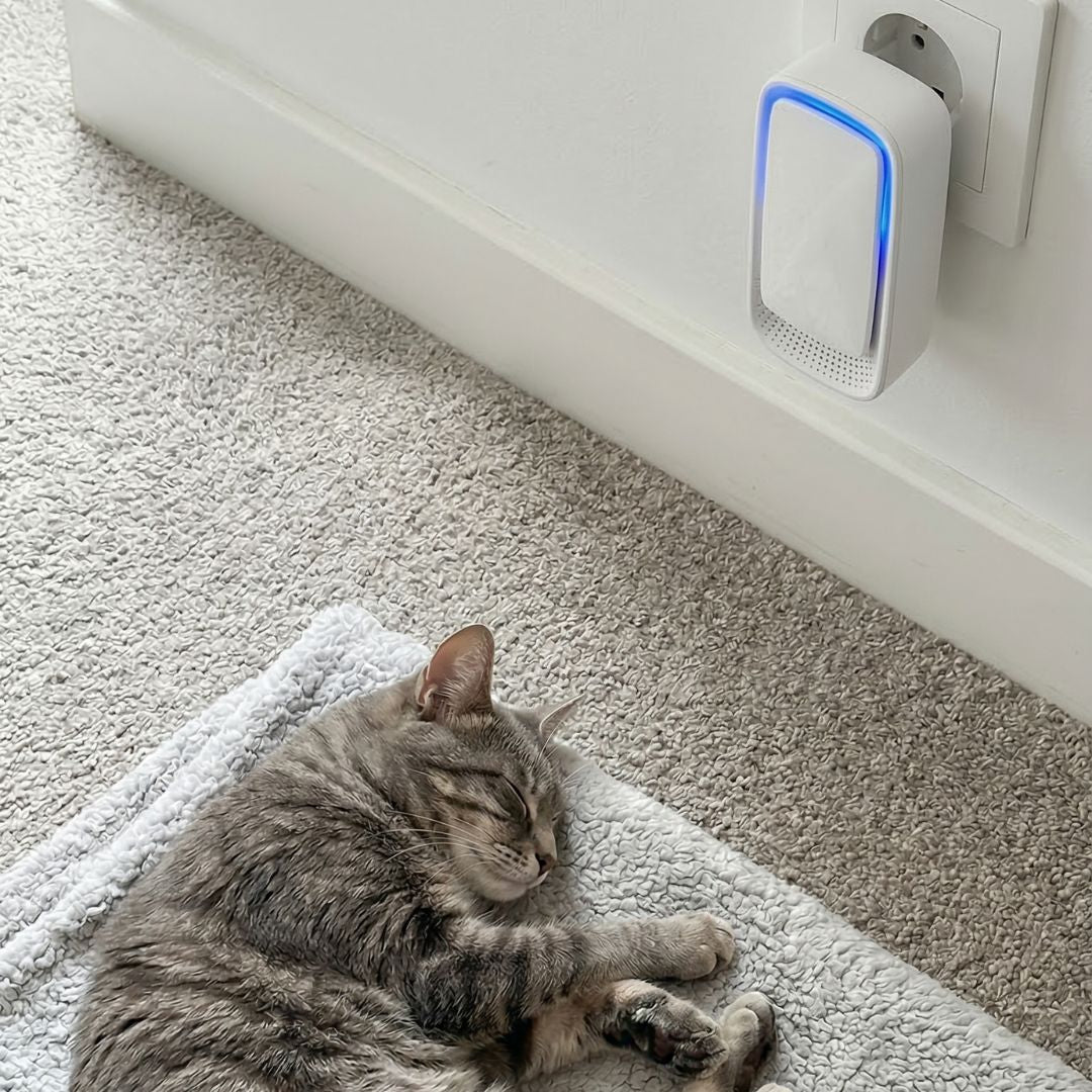 Luftionisator med blåt lys i stikkontakten ved fodlisten, mens en stribet kat sover på et tæppe 4