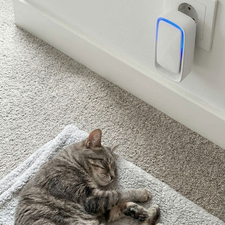 Luftionisator med blåt lys i stikkontakten ved fodlisten, mens en stribet kat sover på et tæppe 4